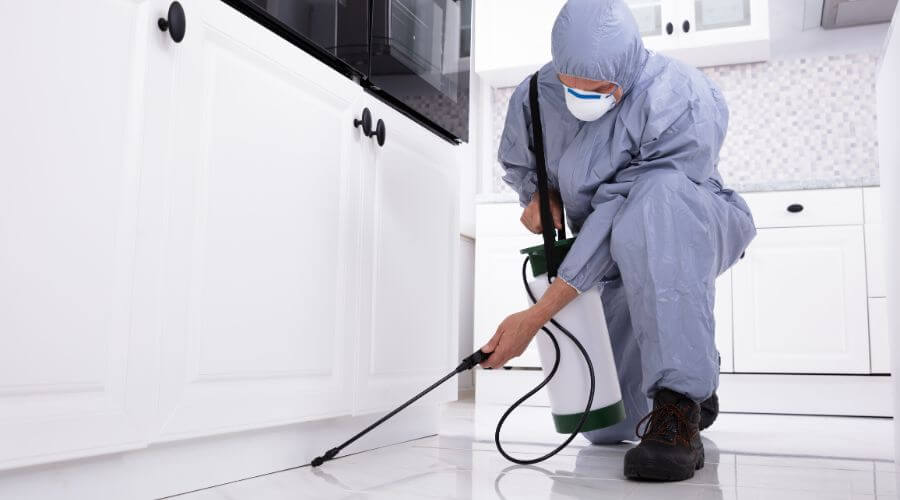 Professional pest control services in Prosser